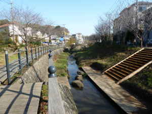 平瀬川上流域(宮前区菅生)~多摩川支流 平瀬川の見どころ|魅力いっぱい 平瀬川散策情報