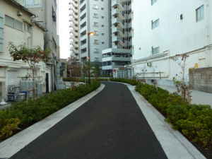 溝口市街地の旧河道跡~多摩川支流 平瀬川の見どころ|魅力いっぱい 平瀬川散策情報
