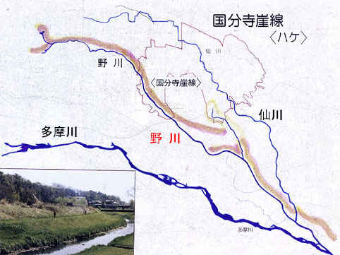 野川の流路図:国分寺から世田谷方面にかけて国分寺崖線(ハケ)と呼ばれる崖がつづき、野川はその崖に沿って流下します~多摩川支流 野川の見どころ|魅力いっぱい 野川散策情報