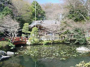 野川の源流域　貫井神社の湧水～多摩川支流　野川の見どころ｜魅力いっぱい 野川散策情報