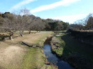 野川公園内を流れる野川～多摩川支流　野川の見どころ｜魅力いっぱい 野川散策情報