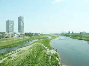 野川最下流 多摩川との合流点~多摩川支流 野川の見どころ|魅力いっぱい 野川散策情報