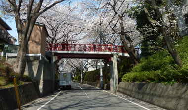 桜坂と桜橋。赤い欄干が桜坂に彩りを添えます~福山雅治の「桜坂」 大ヒット曲の舞台/多摩川散歩