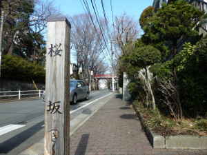 東急多摩川線「沼部駅」から旧中原街道に沿って5分ほど歩くと桜坂に到着します～福山雅治の「桜坂」 大ヒット曲の舞台／多摩川散歩