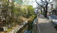 六郷用水～女堀と南北引分／多摩川の用水と水辺の散策路｜魅力いっぱい 多摩川の散策情報～多摩川散歩